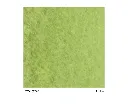 Silentum Lime green .webp