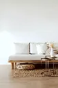 X-White-bank.webp