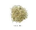TIERRAFINO MOTHER OF PEARL.webp