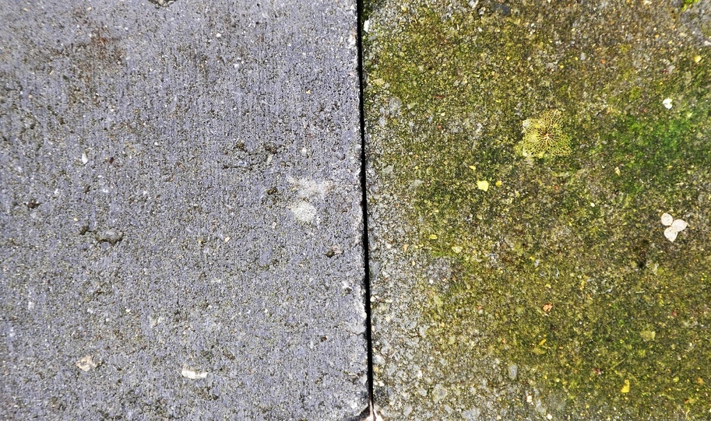 horsemen-stone-care-steenprotectie-groene-bouwmate.jpg