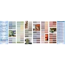 AURO 330 Muurverf Mengkleur 3.webp