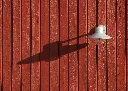 Horsemen Finse kookverf rood.webp