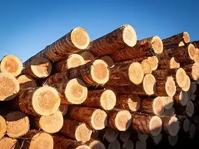 Elka Vers Douglas hout.webp